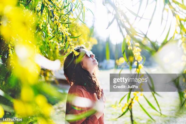 young adult woman in mimosa bush breathing freely in allergies season - acacia flowers stock pictures, royalty-free photos & images