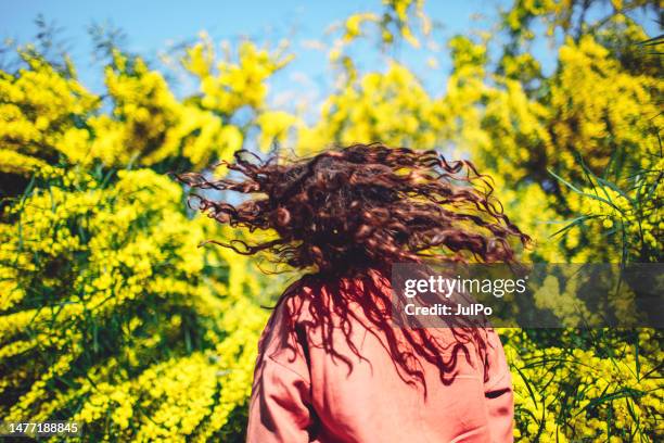 young adult woman in mimosa bush breathing freely in allergies season - pollen air stock pictures, royalty-free photos & images