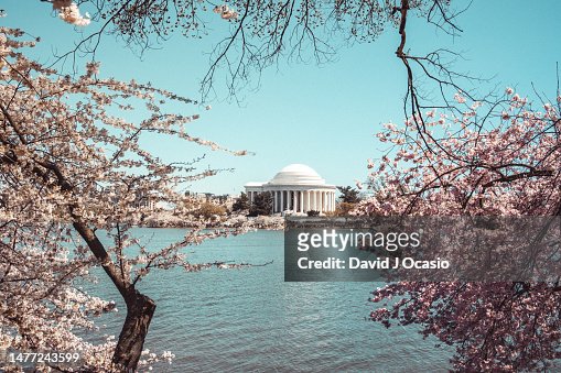 Jefferson Memorial view form the Tidal Basin