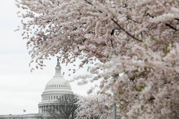 DC: Congressional Lawmakers Return To Capitol Hill After The Weekend
