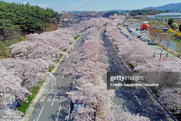 gyeongsangbuk-do, gyeongju - gyeongju stock pictures, royalty-free photos & images