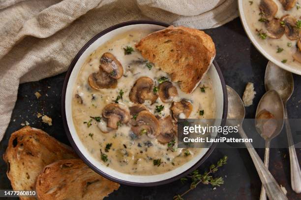 creamy wild mushroom soup - geroosterd brood stockfoto's en -beelden