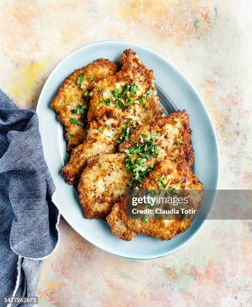 schnitzel on a plate on multicolored background - cutlet stock-fotos und bilder