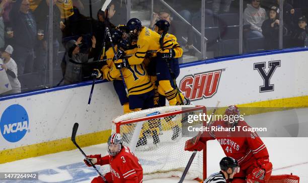 Skyler Brind'Amour of the Quinnipiac Bobcats celebrates his goal against Jakub Dobes of the Ohio State Buckeyes with his teammates Jayden Lee, Ethan...