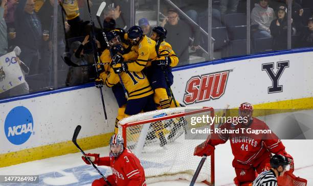 Skyler Brind'Amour of the Quinnipiac Bobcats celebrates his goal against Jakub Dobes of the Ohio State Buckeyes with his teammates Jayden Lee, Ethan...