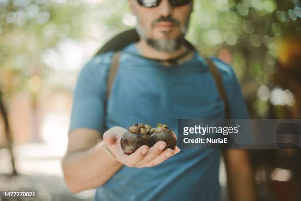portrait of a man holding mangosteen fruit in his hand, vietnam - mangosteen 個照片及圖片檔