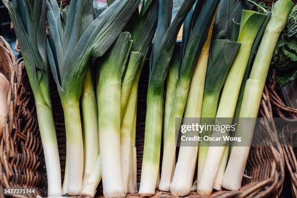 elevated view of fresh leeks - poireau photos et images de collection