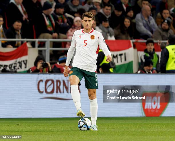 28.588 Bulgaria Football Team Stock Photos, High-Res Pictures, and Images - Getty Images