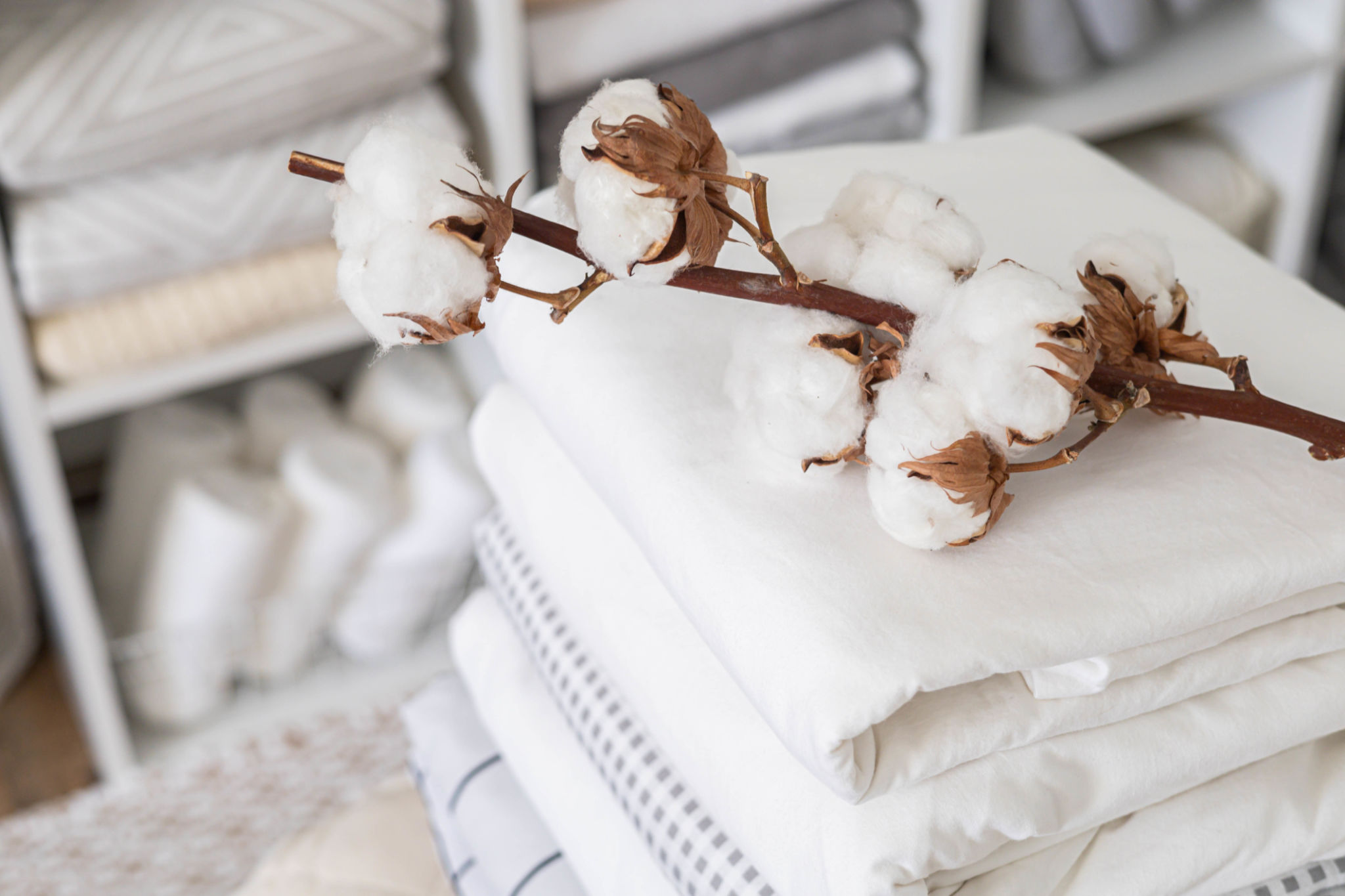 organic cotton mattress