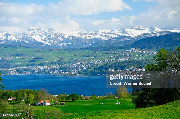 lake of zurich and alps - lake zurich switzerland stock pictures, royalty-free photos & images