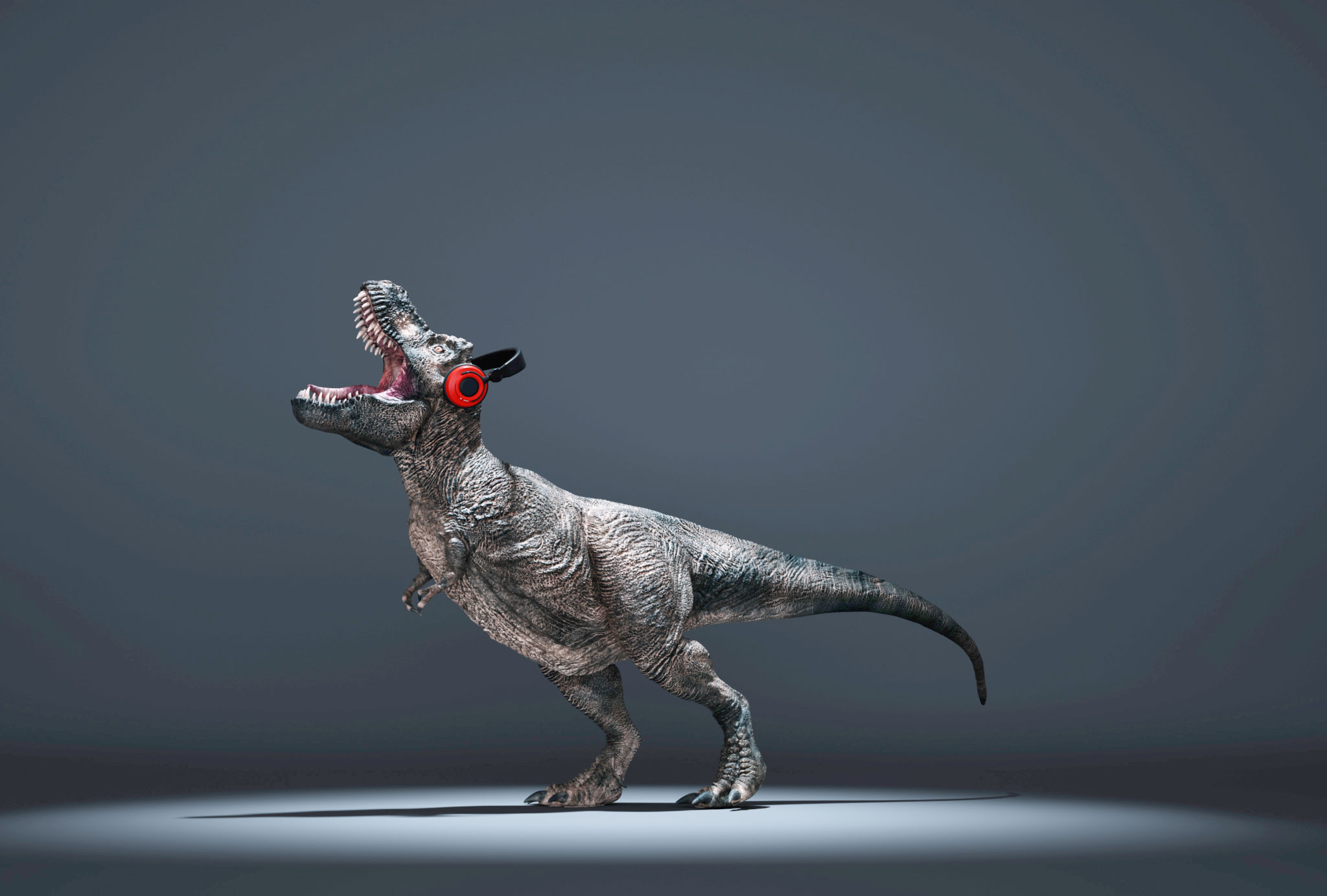 Tyrannosaurus Rex with headphones on a blue background. Tyrannosaurus Rex with headphones on a blue background.