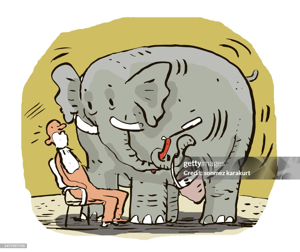 Elephant Barber Shaves Man With Razor