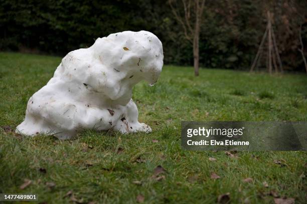 melting snowman standing on green grass in a back garden. - smeltende sneeuw stockfoto's en -beelden
