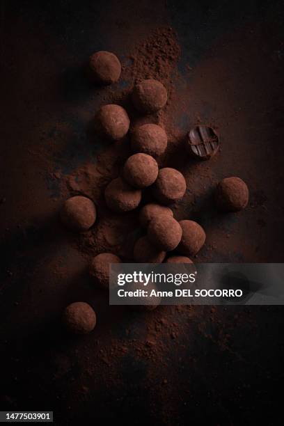 homemade chocolate truffles with cocoa powder - chocolate truffle stock pictures, royalty-free photos & images