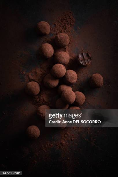 homemade chocolate truffles with cocoa powder - chocolate truffle bildbanksfoton och bilder