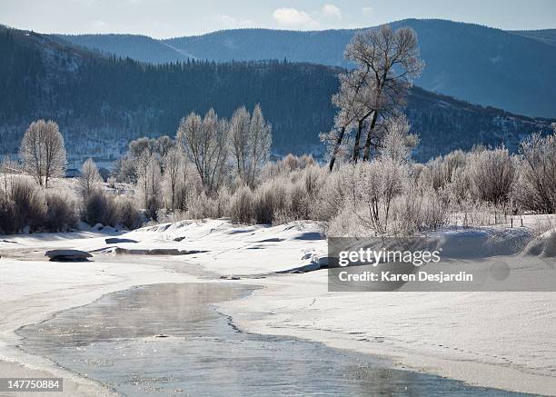 early morning, yampa river, steamboat springs - steamboat springs stock pictures, royalty-free photos & images