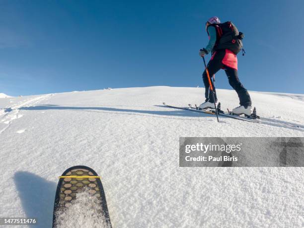 close up on a ski during ski touring adventure, copy space - skischoen stockfoto's en -beelden