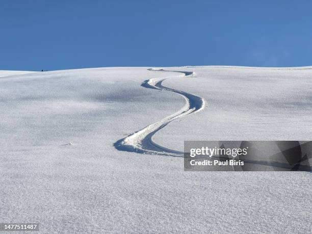 skitouring downhill - powder skiing. abstract pattern of ski lines on slope - ski track stock pictures, royalty-free photos & images
