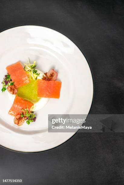 fresh salmon filets with radish cream and herb vinaigrette gourmet michelin food - radish vinaigrette stock pictures, royalty-free photos & images