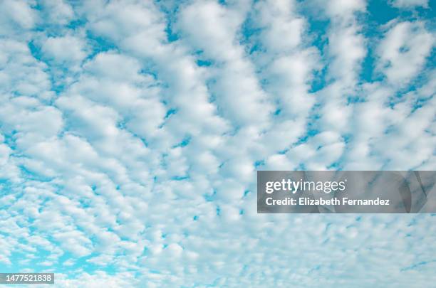 clouds on blue sky - altocumulus stratiformis - blue dramatic sky stock pictures, royalty-free photos & images