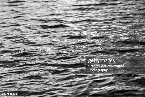 Middle East Monitor Photos and Premium High Res Pictures - Getty Images