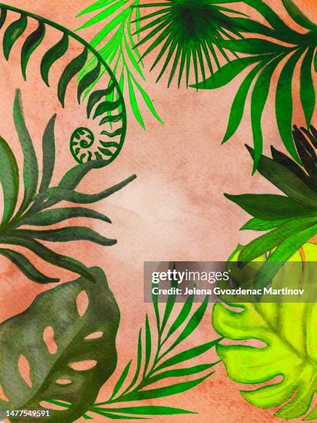 philodendron illustration - philodendron stock illustrations