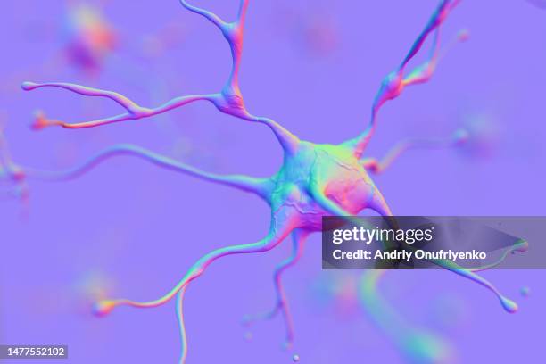 neuron system - nervenzelle stock-fotos und bilder