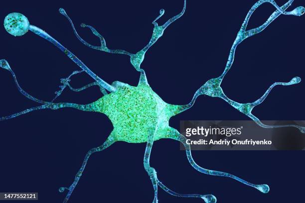 neuron system - medizin zukunft stock-fotos und bilder