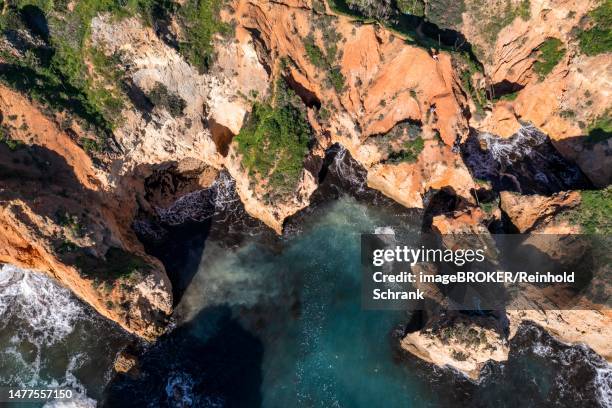 praia da marinha, rocks and cliffs, steep coast in the algarve, portugal - algarve portugal stock-grafiken, -clipart, -cartoons und -symbole