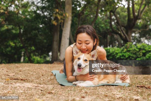 young happy asian woman female pet owner having fun hugging corgi dog while sitting in the nature park outdoors - pembroke welsh corgi stock pictures, royalty-free photos & images