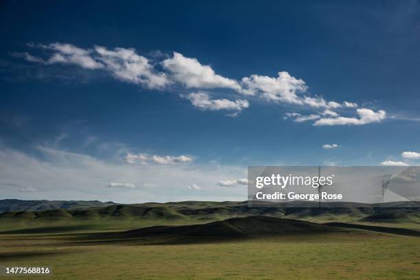 General view of hillsides and pastures on March 26 in Carrizo Plain National Monument, California. Following recent heavy rains, the hillsides and...