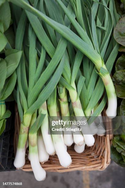 leeks at a farmer's market - alho francês imagens e fotografias de stock