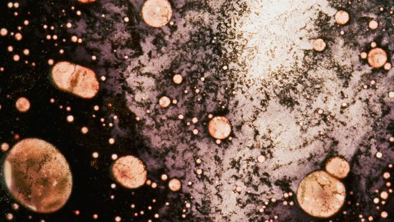 Cell Exploding Body 120 Red Blood Cells Exploding Stock Videos, Footage, & 4K Video Clips ...