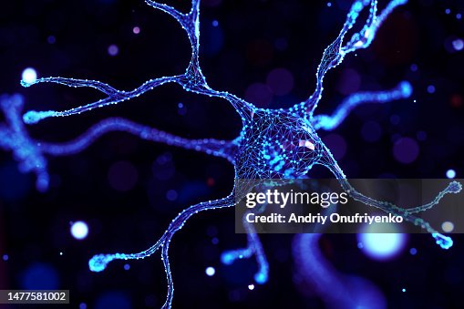 Neuron system Neuron system