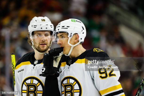 Pavel Zacha of the Boston Bruins and Tomas Nosek of the Boston Bruins look on during the third period of the game against the Carolina Hurricanes at...