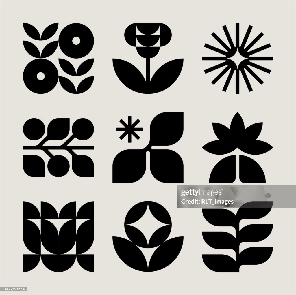 Mid-century Modern Botanical Icons