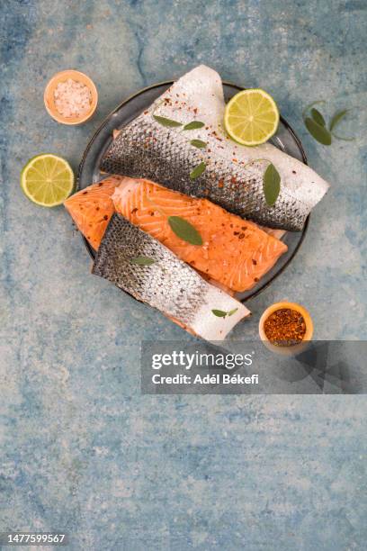 fillet of salmon slices and ingredients on blue background - filete de salmón fotografías e imágenes de stock