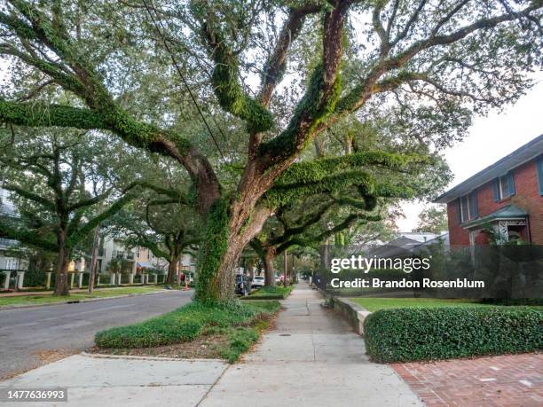 garden district in new orleans - new orleans houses stock pictures, royalty-free photos & images