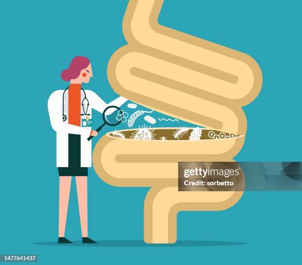 verdauungssystem - lupe - verdauungstrakt stock-grafiken, -clipart, -cartoons und -symbole