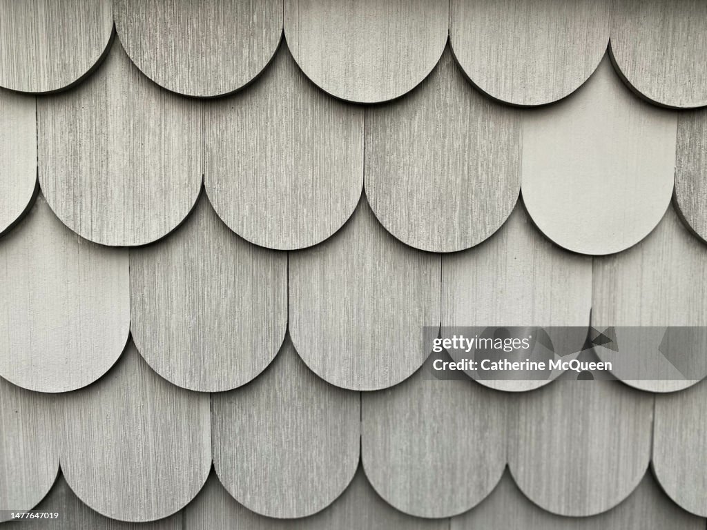Scallap Pattern Scallop Pattern Background High-Res Stock Photo - Getty Images