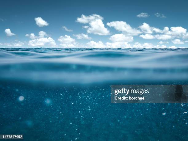 summer sea - wateroppervlak stockfoto's en -beelden
