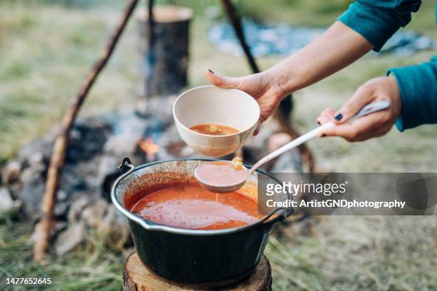 pouring soup in bowl cooked on a campfire in nature. - utensílio de servir imagens e fotografias de stock