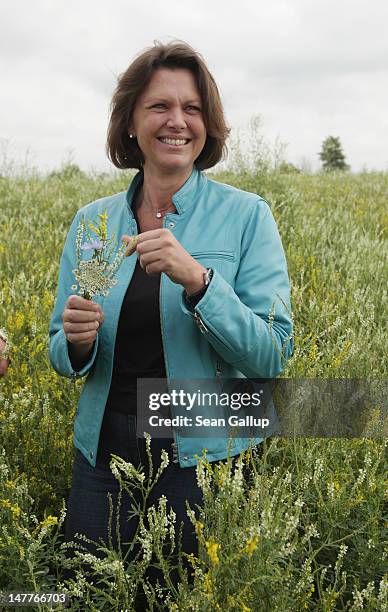 German Agriculture and Consumer Protection Minister Ilse Aigner walks among flowering wild clover growing at a test field operated by the Saaten...