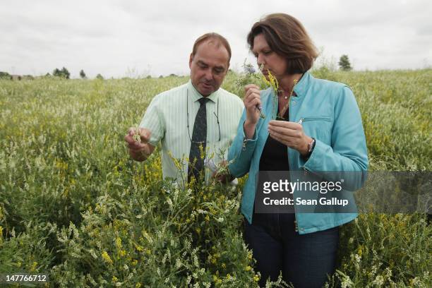 German Agriculture and Consumer Protection Minister Ilse Aigner and Joachim Zeller, head of Saaten Zeller, walk among flowering wild clover growing...