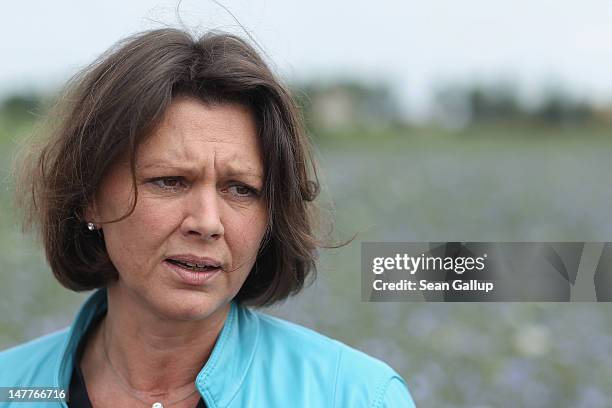 German Agriculture and Consumer Protection Minister Ilse Aigner speaks to the media while standing in a field of flowering wild chicory growing at a...