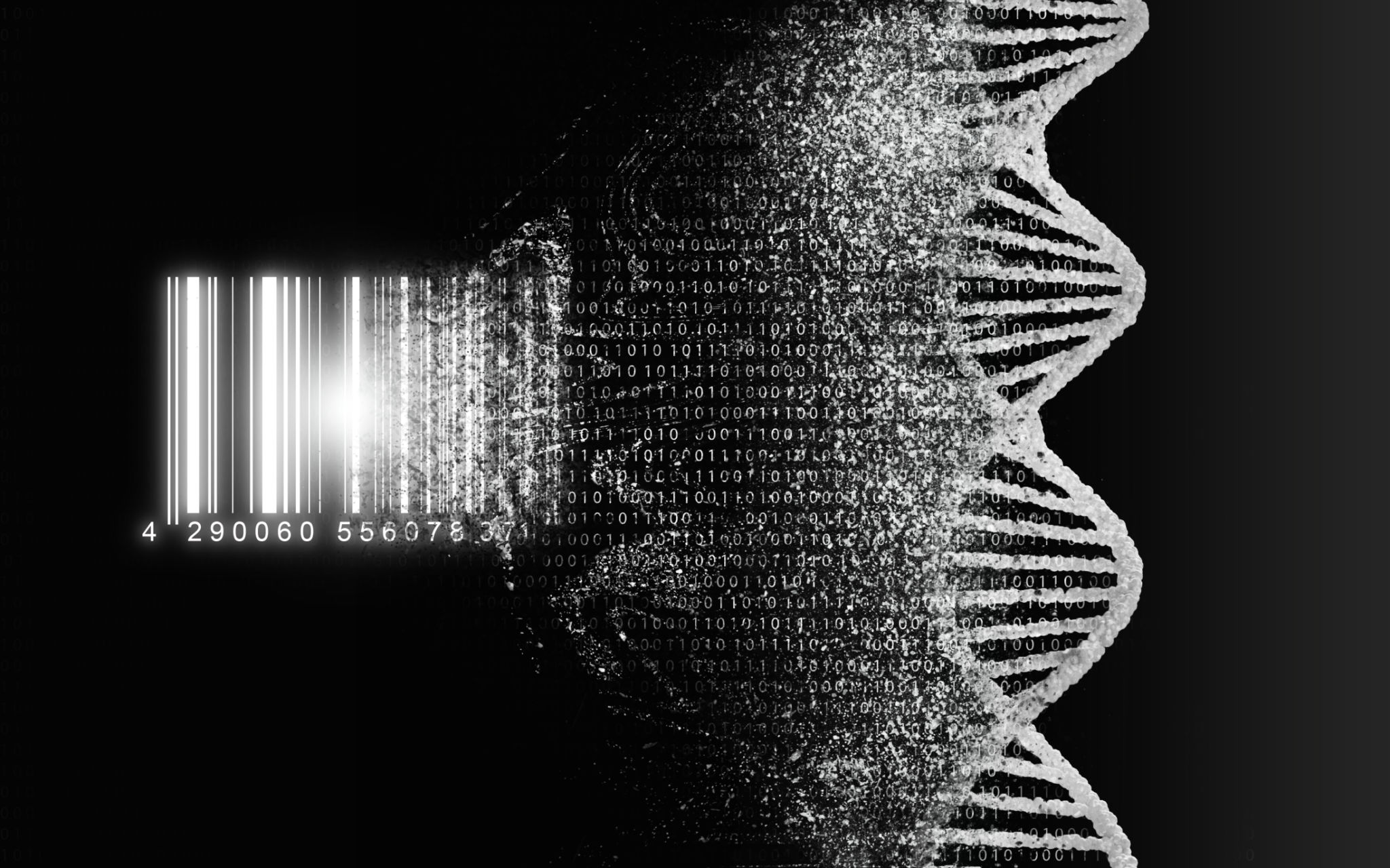 gene editing technology