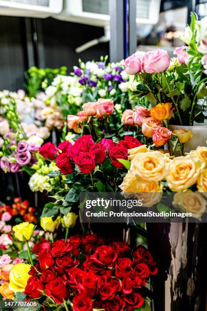 Flower Roses Centre Modern 303 Modern Rose Garden Stock Photos, High-Res Pictures, and Images ...