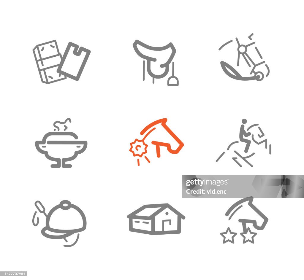 Reiten Icons Set
