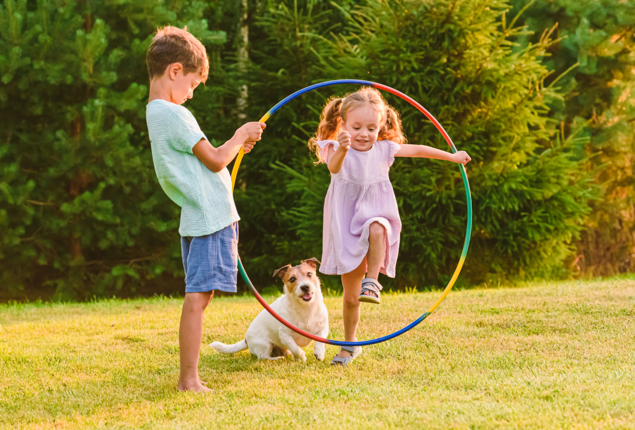Children playing with pet dog jumping through hula hoop Children playing with pet dog jumping through hula hoop