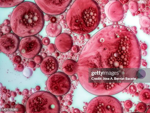 full frame of red liquid molecules floating on a white liquid surface. - blood cell stock pictures, royalty-free photos & images